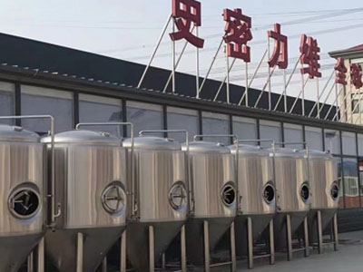 夹江精酿啤酒设备厂—市场规模与跨界新需求